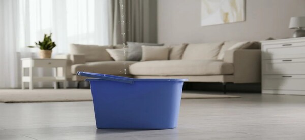 Flood Remediation Company