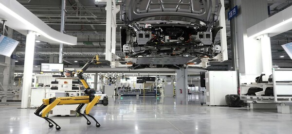Robotics Company