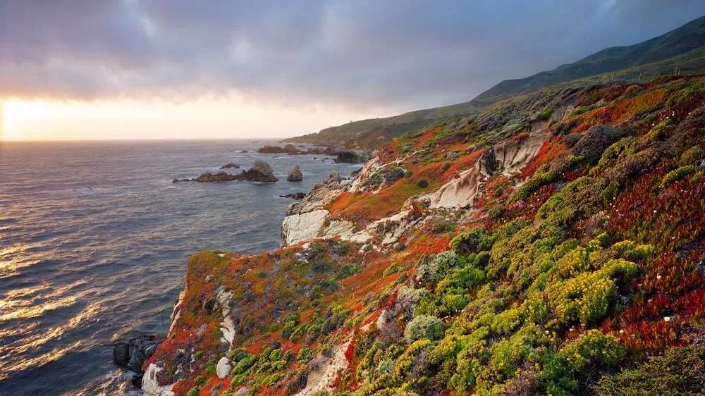 How to Sell a Business in California: 7 Steps to Prepare, Market, and Close the Deal